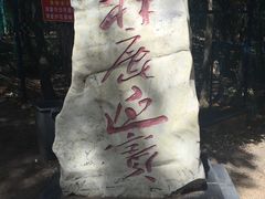 -吊水壶国家森林公园