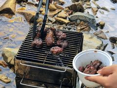 -北仑森林植物园