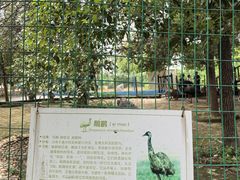 -武汉紫薇都市田园