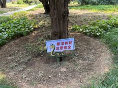 -国家植物园南园