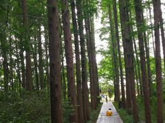 -同里国家湿地公园