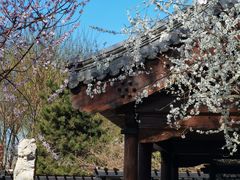 -三里河公园