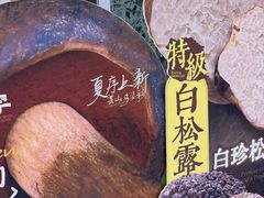 -芸山季·云南山珍菌火锅(南翔印象城MEGA店)