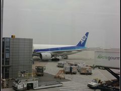 -全日本空输株式会社(上海办事处)
