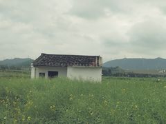 -光明小镇欢乐田园