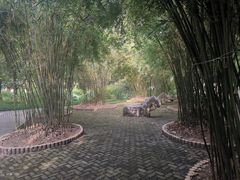 -瀛洲公园