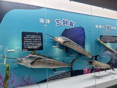 -陕西自然博物馆