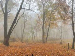 -香炉山国家森林公园