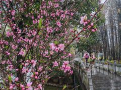 -采石矶景区