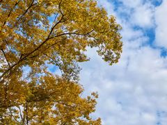 -白塘生态植物园