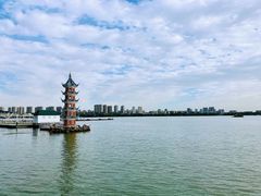 -无锡蠡湖国家湿地公园-蠡园