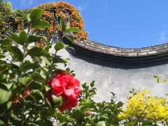 -乌山风景区