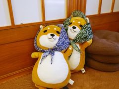 -豆柴町-柴犬主题狗咖(红鼎国际C座店)