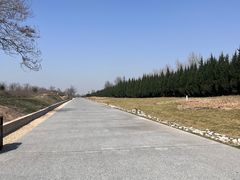 -汉长安城未央宫国家考古遗址公园