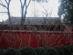 -房湖公园
