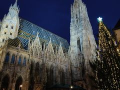 -斯蒂芬主教座堂(Stephansdom)