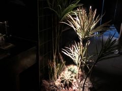 -UNI UNI(环亚凯瑟琳店)