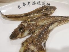 马友鱼-长平老姿娘夜粥(平东一街店)