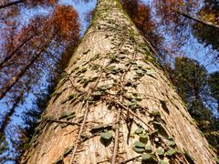 -华南国家植物园-售票处