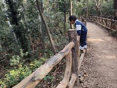 -青龙山国家森林公园