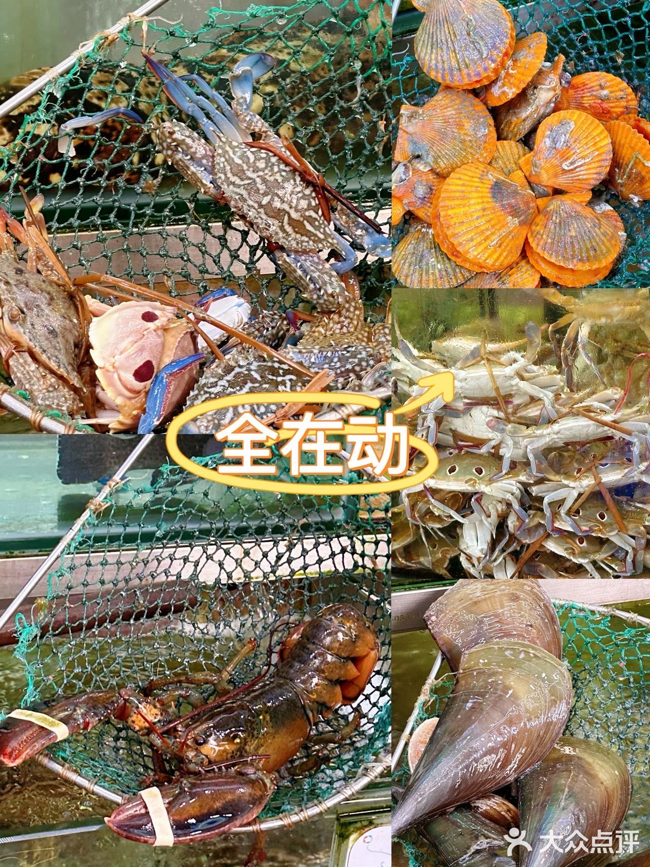 在海陵不用当水鱼 也能吃到便宜新鲜的海鲜