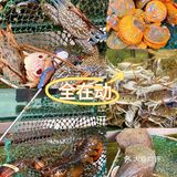 在海陵不用当水鱼 也能吃到便宜新鲜的海鲜