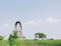 -太湖湖滨国家湿地公园-停车场
