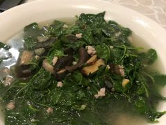 上汤枸杞叶-权记避风塘(鸿记店)