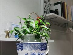-CF法餐厅