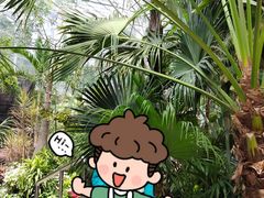 -北京植物园-展览温室