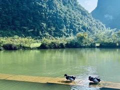 -靖西鹅泉风景区