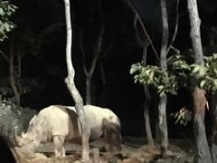 -清迈夜间动物园