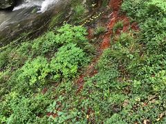 -溪口-滕头旅游景区