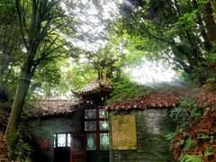 -武陵山森林公园