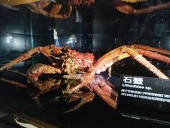 -同济大学四平路校区深海探索馆