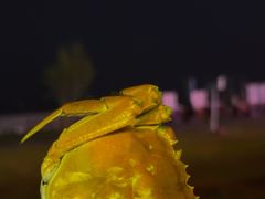 -七的湖·晚芳亭·阳澄湖农家菜·大闸蟹(莲花岛店)