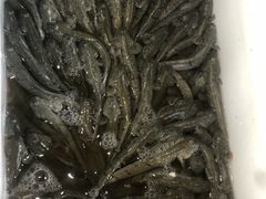 -茂盛饭店(汕尾大道中店)