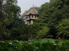 -成都杜甫草堂博物馆