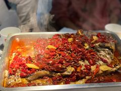 -鱼酷活鱼烤鱼(昆明路店)