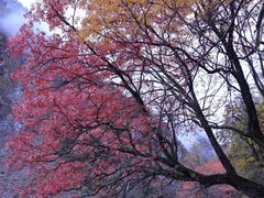 -叠溪松坪沟景区