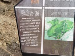 -白水寺森林公园