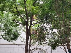 -上海电影博物馆