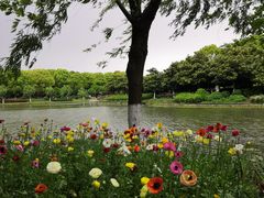 -上海鲜花港