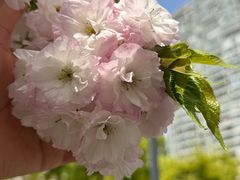 -霖公馆SPA·足道(普善路店)