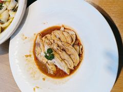 -海派美食·家宴海鲜青岛菜·石锅鲽鱼头(东方城店)