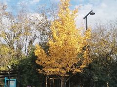 -杭州半山国家森林公园