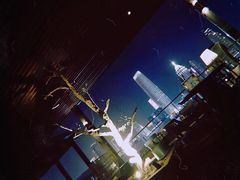 -四季酒店·空中花园 Aria on 9