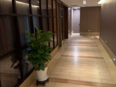 -松鹤楼(狮山永利广场店)