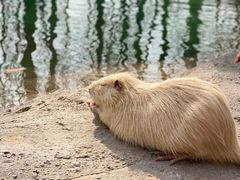 -北京野生动物园