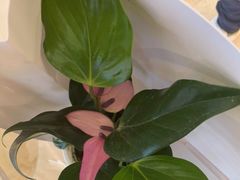 -花点时间(蓝色港湾店)